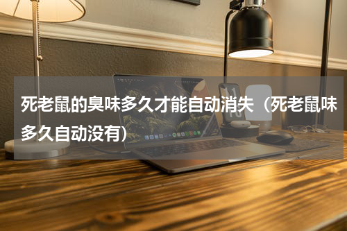 死老鼠的臭味多久才能自动消失（死老鼠味多久自动没有）