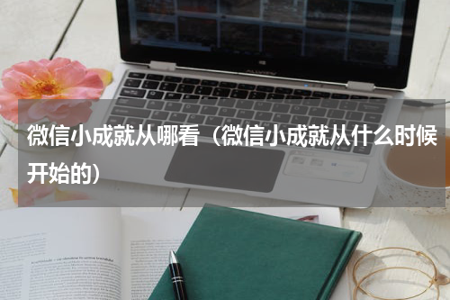微信小成就从哪看（微信小成就从什么时候开始的）