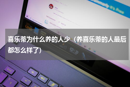 喜乐蒂为什么养的人少（养喜乐蒂的人最后都怎么样了）