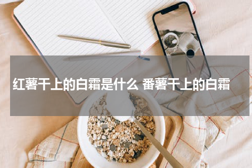 红薯干上的白霜是什么 番薯干上的白霜