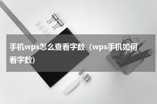 手机wps怎么查看字数（wps手机如何看字数）