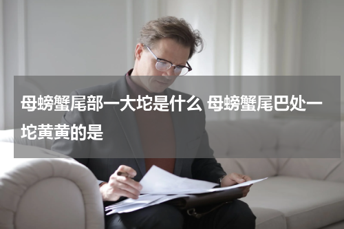 母螃蟹尾部一大坨是什么 母螃蟹尾巴处一坨黄黄的是