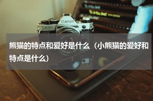 熊猫的特点和爱好是什么（小熊猫的爱好和特点是什么）