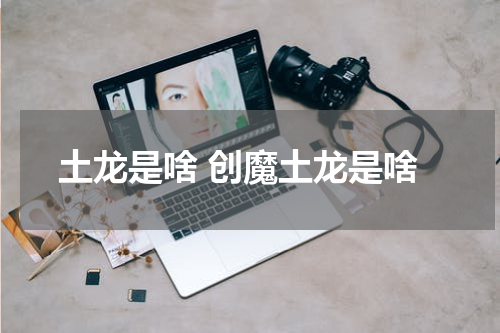 土龙是啥 创魔土龙是啥