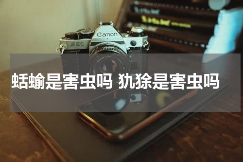 蛞蝓是害虫吗 犰狳是害虫吗
