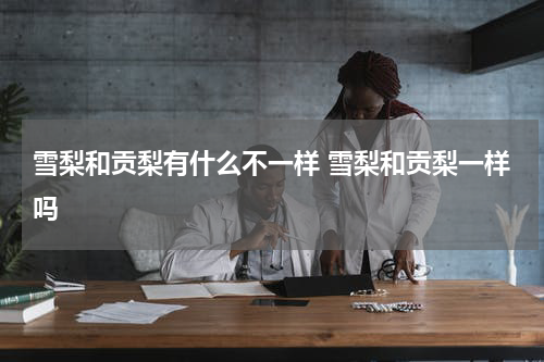 雪梨和贡梨有什么不一样 雪梨和贡梨一样吗