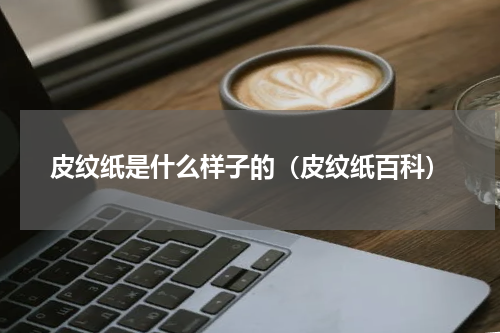 皮纹纸是什么样子的（皮纹纸百科）