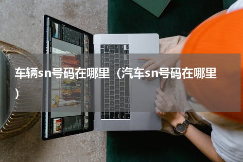 车辆sn号码在哪里（汽车sn号码在哪里）