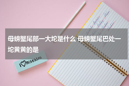母螃蟹尾部一大坨是什么 母螃蟹尾巴处一坨黄黄的是