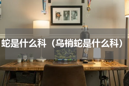蛇是什么科（乌梢蛇是什么科）