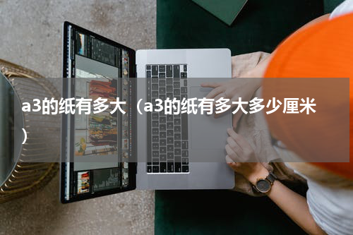 a3的纸有多大（a3的纸有多大多少厘米）