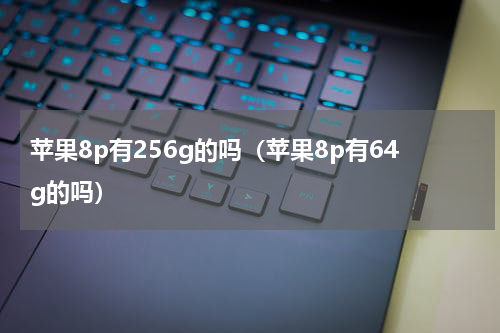 苹果8p有256g的吗（苹果8p有64g的吗）