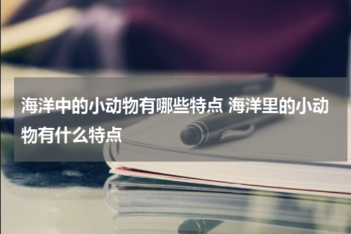 海洋中的小动物有哪些特点 海洋里的小动物有什么特点
