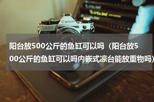 阳台放500公斤的鱼缸可以吗（阳台放500公斤的鱼缸可以吗内嵌式凉台能放重物吗）