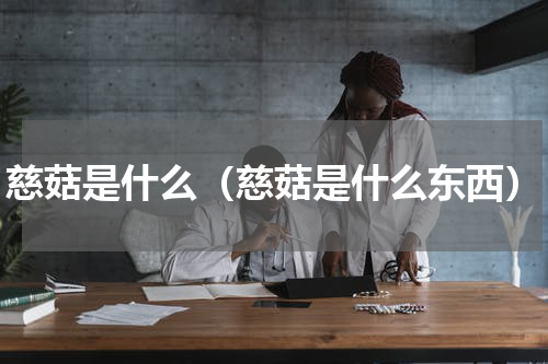慈菇是什么（慈菇是什么东西）