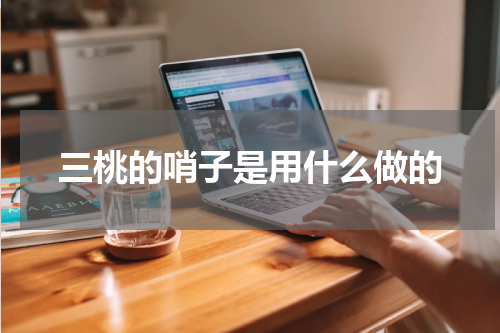 三桃的哨子是用什么做的