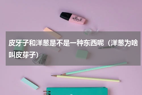 皮牙子和洋葱是不是一种东西呢（洋葱为啥叫皮芽子）