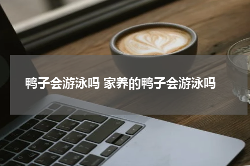 鸭子会游泳吗 家养的鸭子会游泳吗