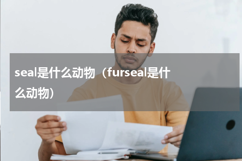 seal是什么动物（furseal是什么动物）