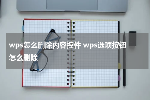 wps怎么删除内容控件 wps选项按钮怎么删除
