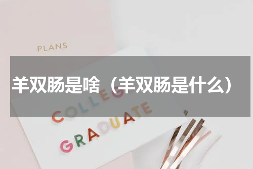 羊双肠是啥（羊双肠是什么）