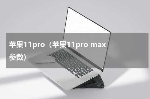 苹果11pro（苹果11pro max参数）