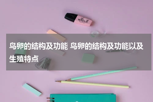 鸟卵的结构及功能 鸟卵的结构及功能以及生殖特点
