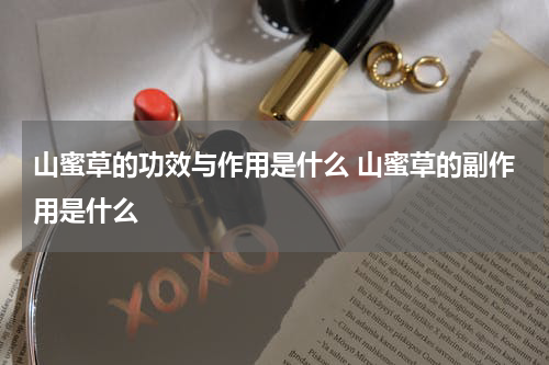 山蜜草的功效与作用是什么 山蜜草的副作用是什么
