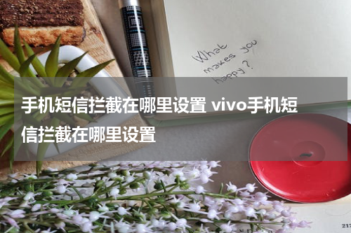 手机短信拦截在哪里设置 vivo手机短信拦截在哪里设置