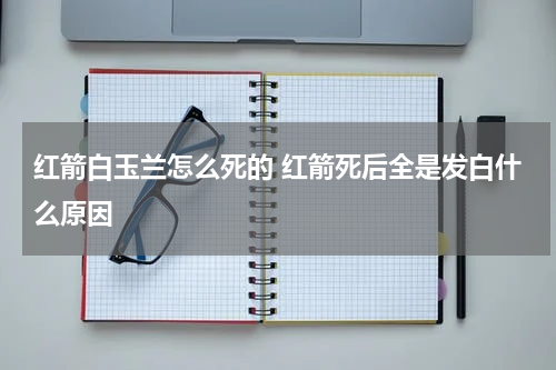 红箭白玉兰怎么死的 红箭死后全是发白什么原因