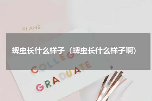 蜱虫长什么样子（蜱虫长什么样子啊）