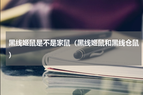 黑线姬鼠是不是家鼠（黑线姬鼠和黑线仓鼠）