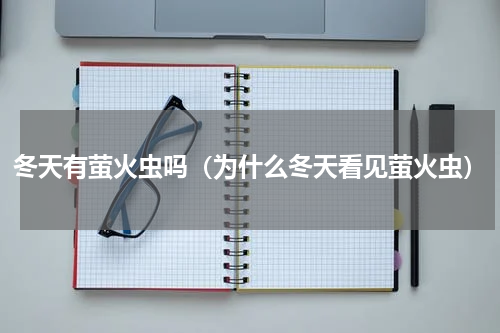 冬天有萤火虫吗（为什么冬天看见萤火虫）