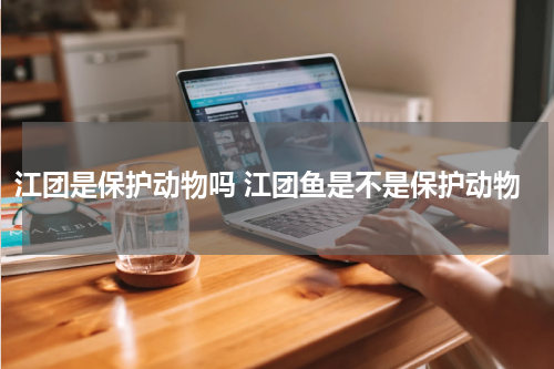 江团是保护动物吗 江团鱼是不是保护动物