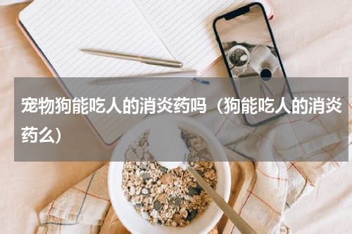 宠物狗能吃人的消炎药吗（狗能吃人的消炎药么）