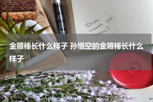 金箍棒长什么样子 孙悟空的金箍棒长什么样子