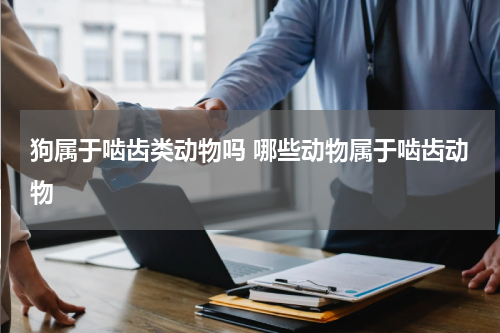 狗属于啮齿类动物吗 哪些动物属于啮齿动物