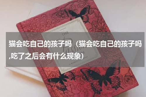 猫会吃自己的孩子吗（猫会吃自己的孩子吗,吃了之后会有什么现象）