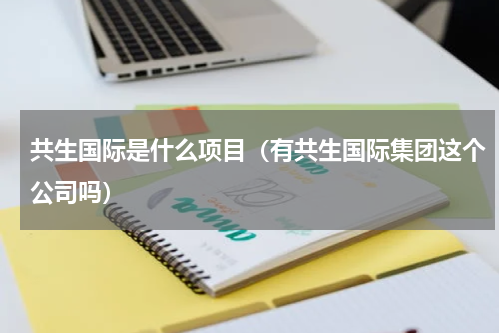 共生国际是什么项目（有共生国际集团这个公司吗）