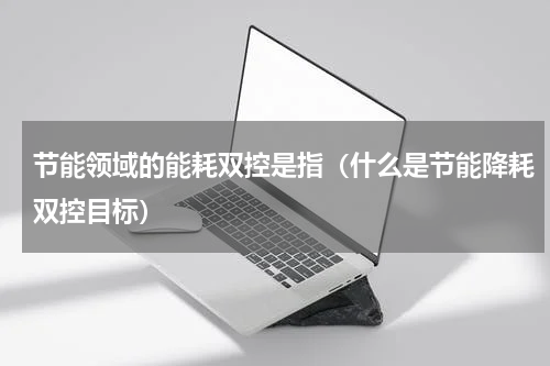 节能领域的能耗双控是指（什么是节能降耗双控目标）