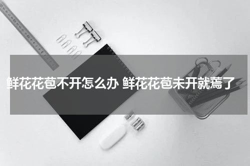鲜花花苞不开怎么办 鲜花花苞未开就蔫了