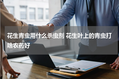 花生青虫用什么杀虫剂 花生叶上的青虫打啥农药好