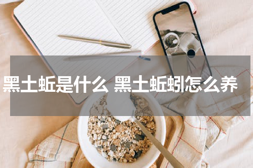 黑土蚯是什么 黑土蚯蚓怎么养