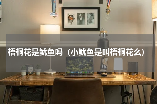 梧桐花是鱿鱼吗（小鱿鱼是叫梧桐花么）