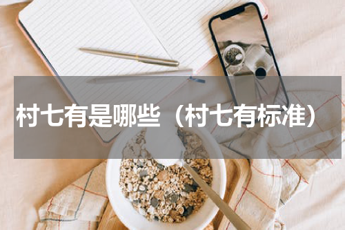 村七有是哪些（村七有标准）