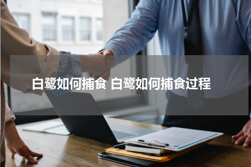 白鹭如何捕食 白鹭如何捕食过程
