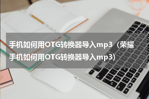 手机如何用OTG转换器导入mp3（荣耀手机如何用OTG转换器导入mp3）