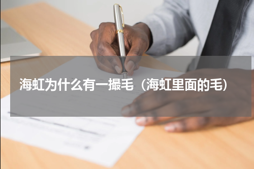 海虹为什么有一撮毛（海虹里面的毛）