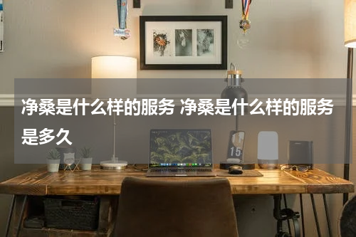 净桑是什么样的服务 净桑是什么样的服务是多久