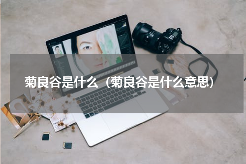 菊良谷是什么（菊良谷是什么意思）
